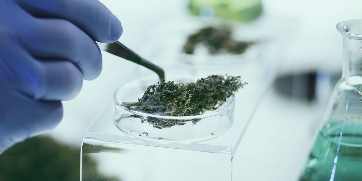 Advanced Extraction Lab
